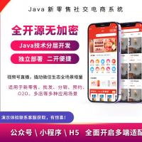 Java开源电商系统源码部署DIY装修支持二开带分销系统